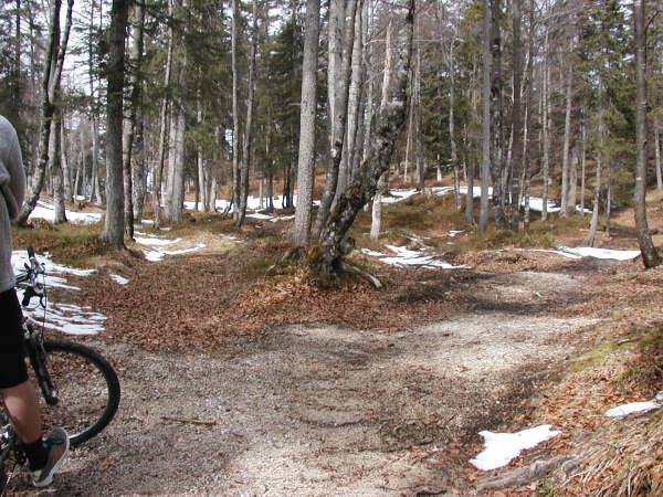 Geradeaus weiter auf dem Weg