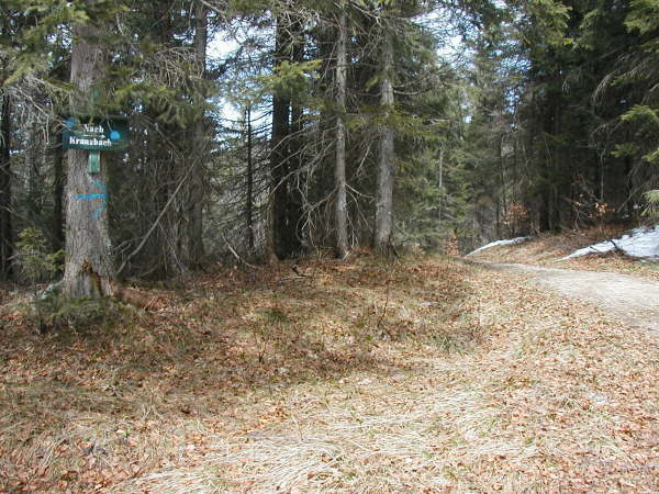 Dem schmalen Karrenweg folgen