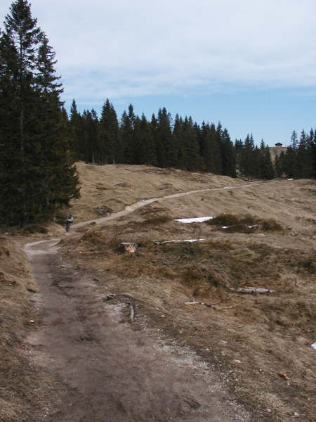 Blick zur Gipfelh�tte