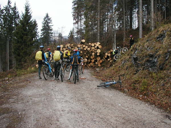 versperren pltzlich den Weg