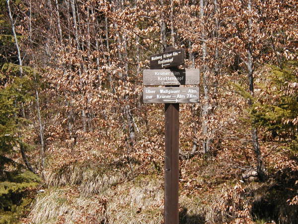 Richtung Waldweg Kr�ner Alm, Krottenkopf bergauf