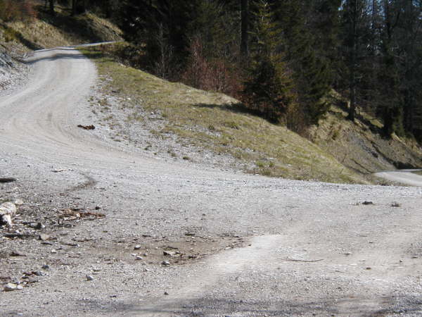 Hier kommt man sp�ter wieder runter