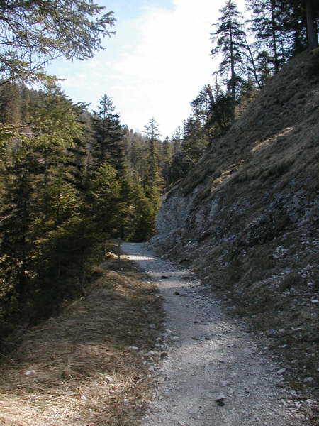 Immer dem schmalen Weg folgen