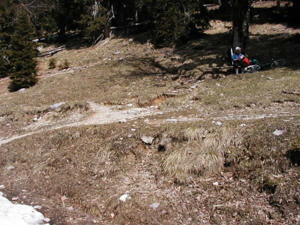 Von hieraus ca. 25min per Fu� bis zur Alm