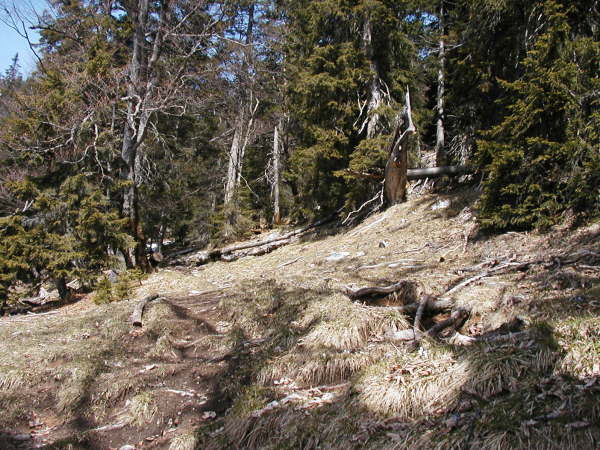 Hier geht�s per Fu� zur Alm