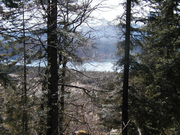 Blick auf den Barmsee