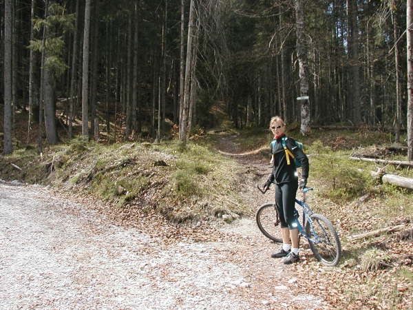 Abzweigung auf den Waldweg