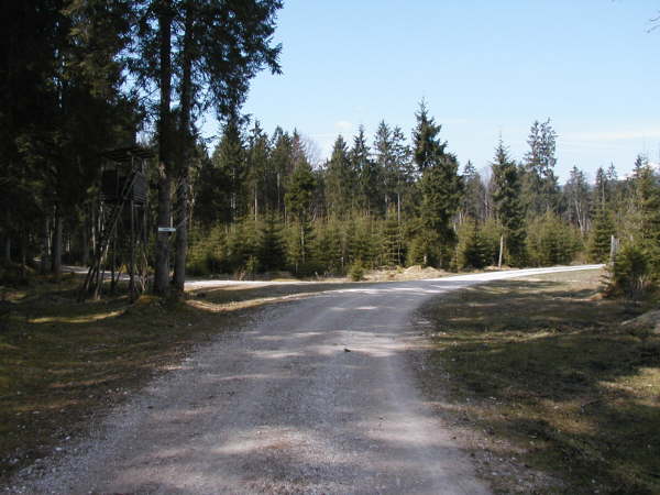Abzweigung am Jgerhochsitz