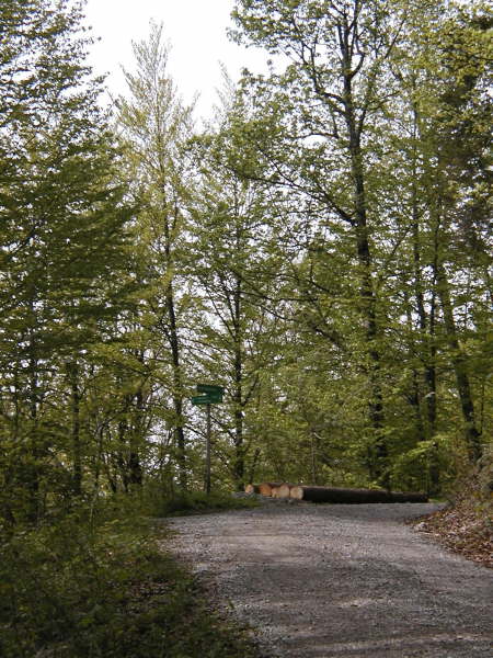 Nach dem ersten Anstieg links bergab abbiegen