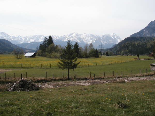 Am Waldrand entlang fahren