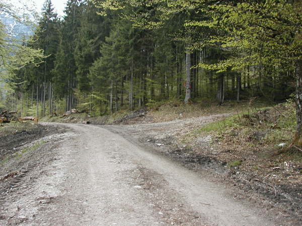 rechts abbiegen und weiter steilst bergauf fahren