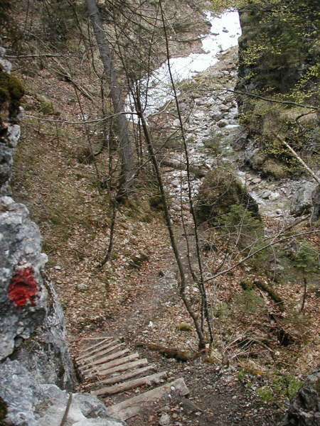 Abstieg ins Bachbett