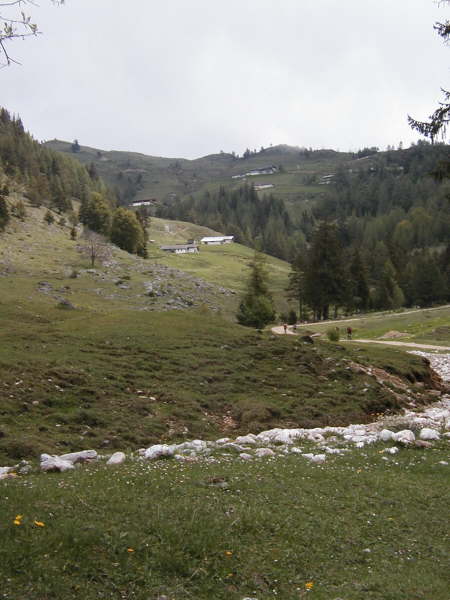 Blick zur Buchackeralm