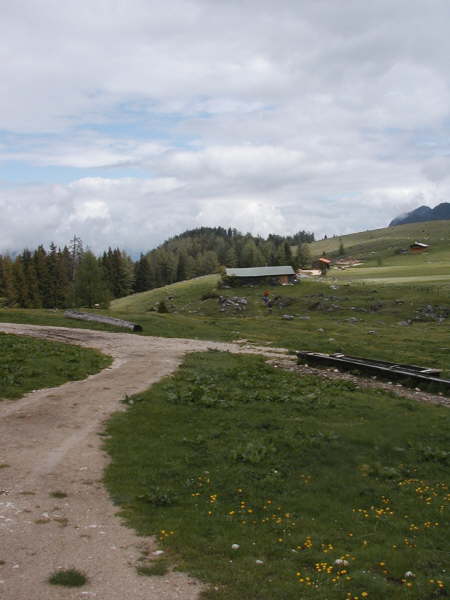geradeaus weiter ber den Wiesenpfad