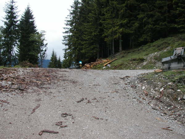 rechts durch die Kehre weiter dem Hauptweg bergauf folgen