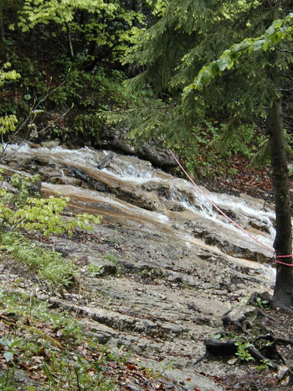 Seilsicherung am Bach