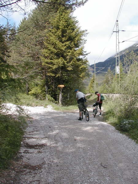 geradeaus weiter auf dem nun schmleren Weg