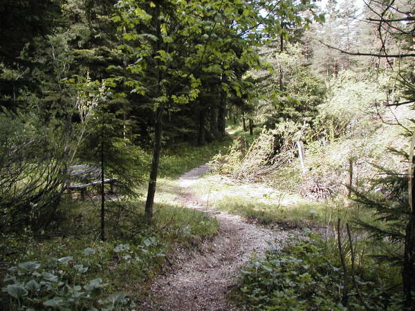 Immer dem Pfad folgen