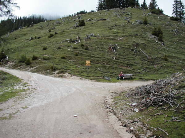 Wegzweigung kurz vor der Alm