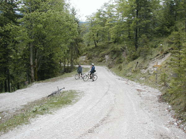 Abzweigung Hochwaldweg