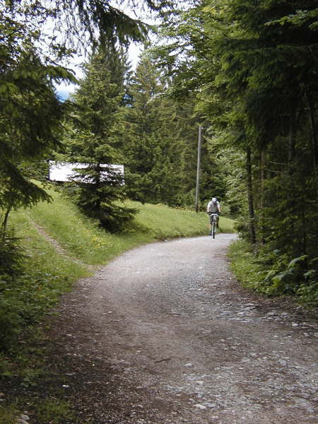 fast oben angekommen