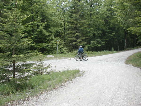 durch die Linkskehre weiter auf dem Hauptweg bergab fahren