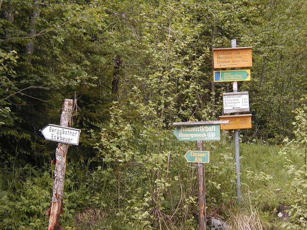 Richtung Berggasthof Eckbauer, Almwirtschaft Hintergraseck