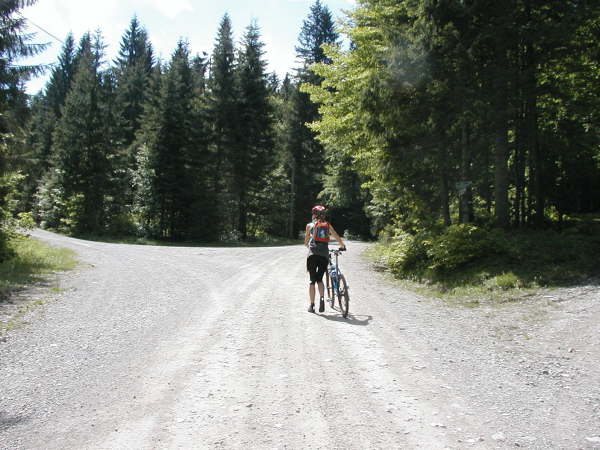 Links weiter bergauf fahren