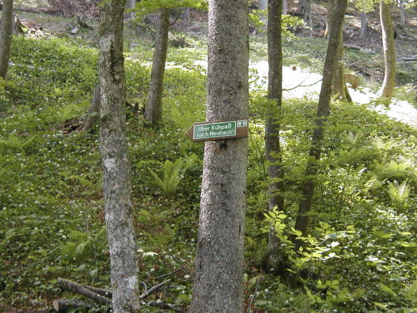 Das Rad ber den Khpass schieben