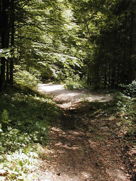 Mndung am Schotterweg