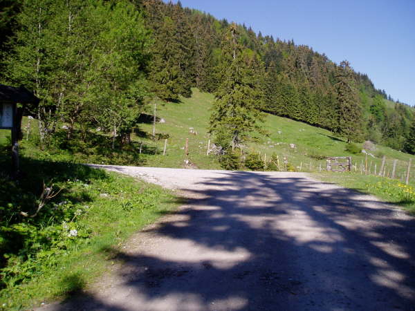 Links weiter bergauf