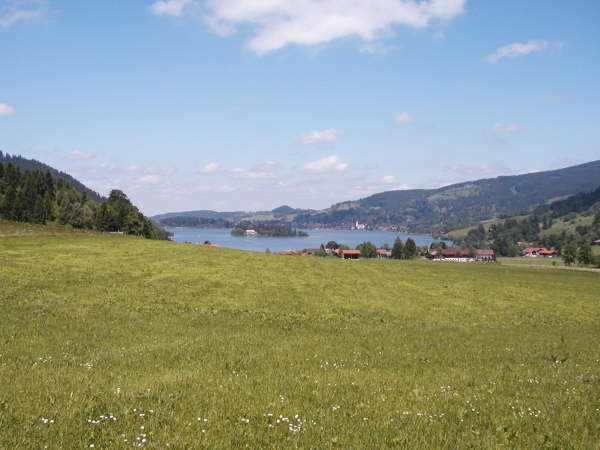 durch die Wiesen fahren