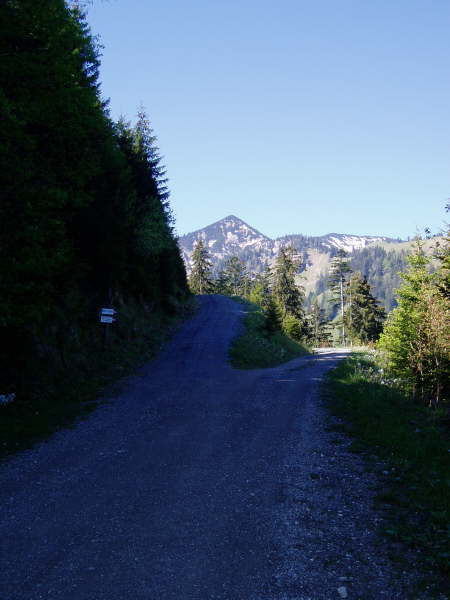 Dem rechten Weg folgen