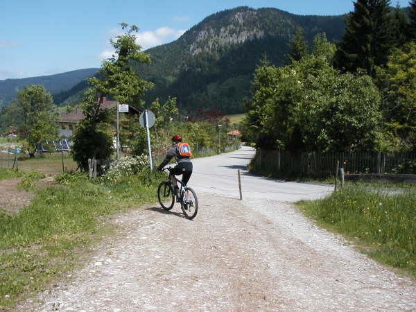 Mndung an einer Asphaltstrae in Neuhaus
