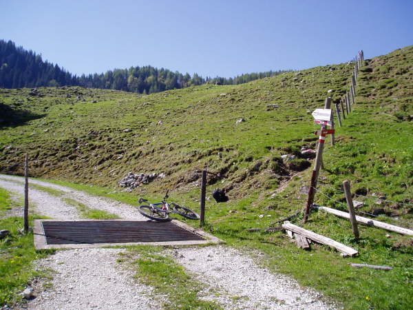 Rechts dem Weg ber die Wiese folgen