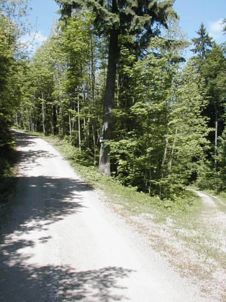 links weiter bergauf