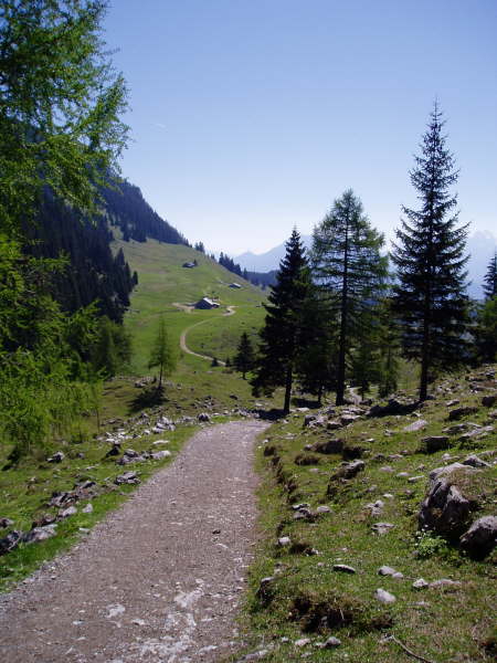 Dem Weg bergab folgen