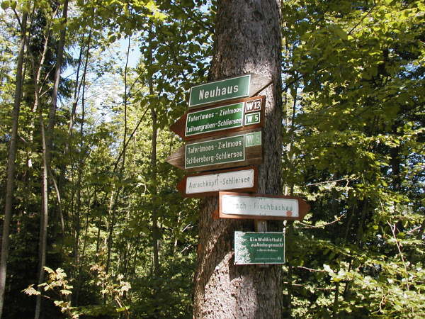 Richtung Leitnergraben, Schliersee