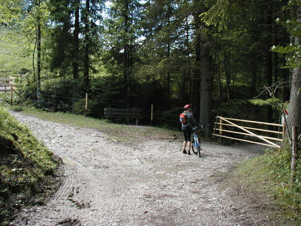 Nach rechts das Weidegatter passieren