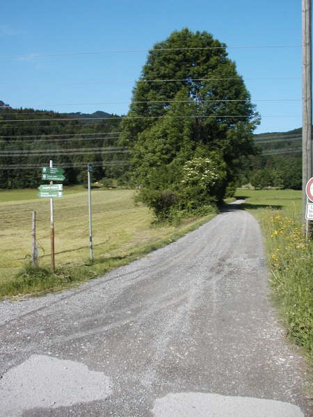 Bergauf Richtung Kreut-Alm