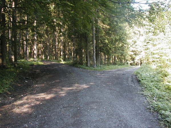 links weiter bergauf