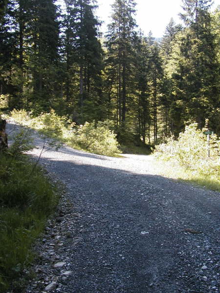 links weiter bergauf, rechts geht es nach Ohlstadt