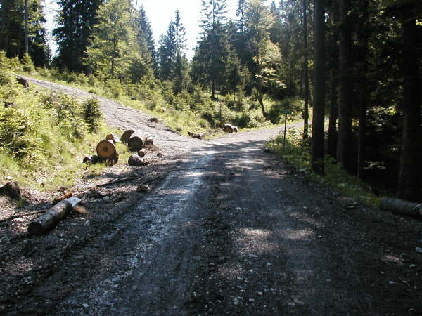 geradeaus weiter bergauf