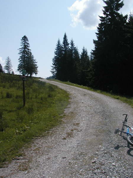 geradeaus weiter bergauf