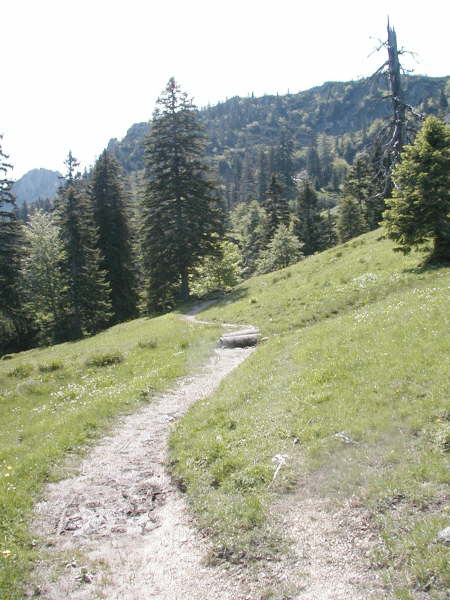 Ab der Kaseralm ist der Weg noch ca. 100m fahrbar