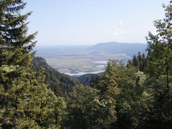 Blick auf den Kochelsee