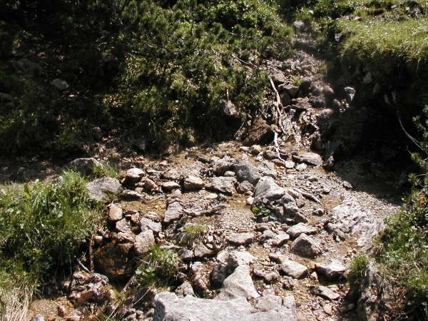 Mehrere Bche berqueren