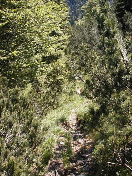 Tragestrecke auf Pfad