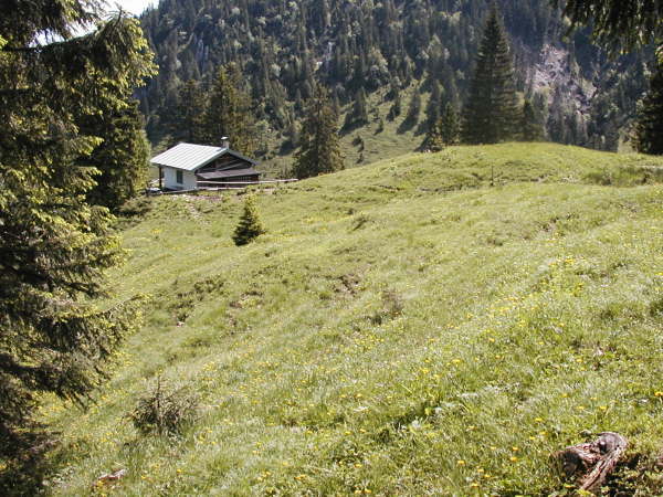 Wiesengelnde vor der Htte