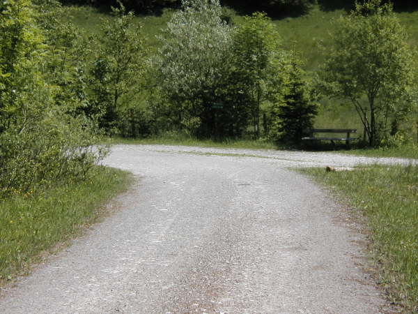 Links weiter bergab fahren